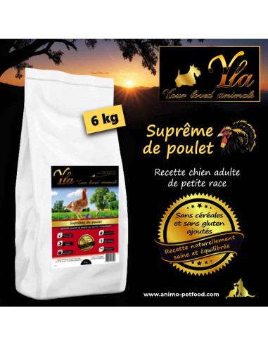 Recette hypoallergénique pour chien de petite taille, croquettes sans céréales adaptées aux allergies