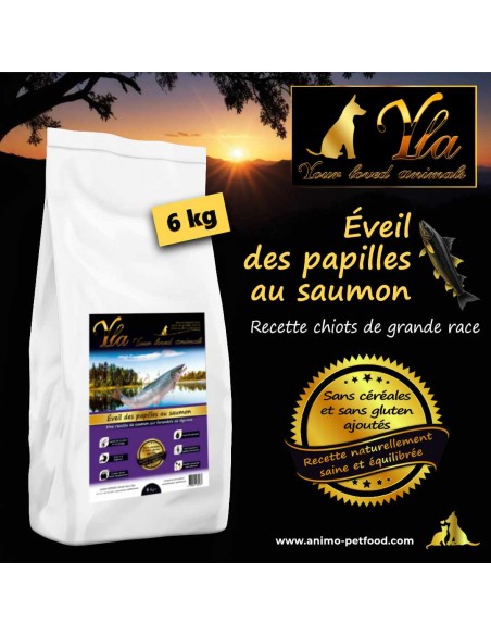 Croquettes pour chiot de grande race au saumon, idéales pour une croissance optimale et une digestion facile