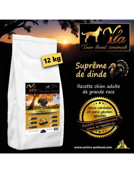 Croquettes sans céréales pour chien de grande race, adaptées aux sensibilités digestives