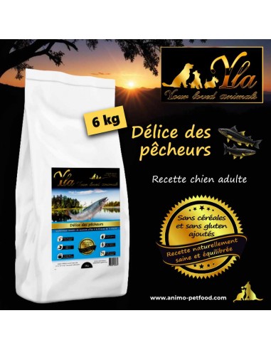 Alimentation naturelle sans céréales pour chien, recette saumon et truite hypoallergénique, riche en oméga 3