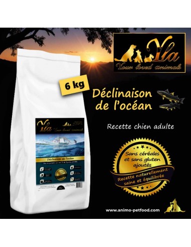 Alimentation naturelle sans céréales pour chiens sensibles, croquettes au saumon et aiglefin, hypoallergéniques