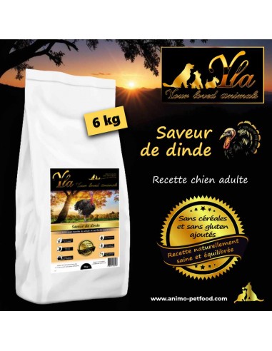 Alimentation sans céréales pour chien adulte, croquettes à la dinde, hypoallergéniques et sans gluten