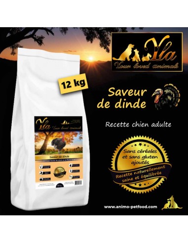Croquettes pour chien adulte, dinde hypoallergénique sans céréales, adaptées aux allergies alimentaires