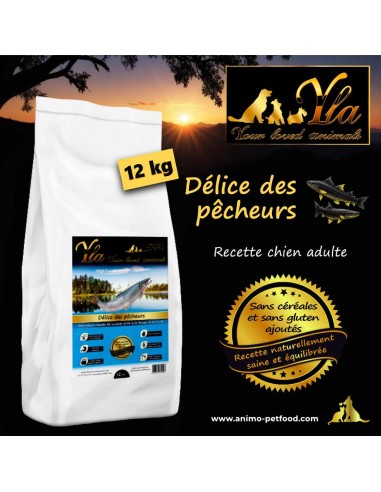 Croquettes naturelles pour chien adulte, sans céréales, au saumon et à la truite, hypoallergéniques et digestes