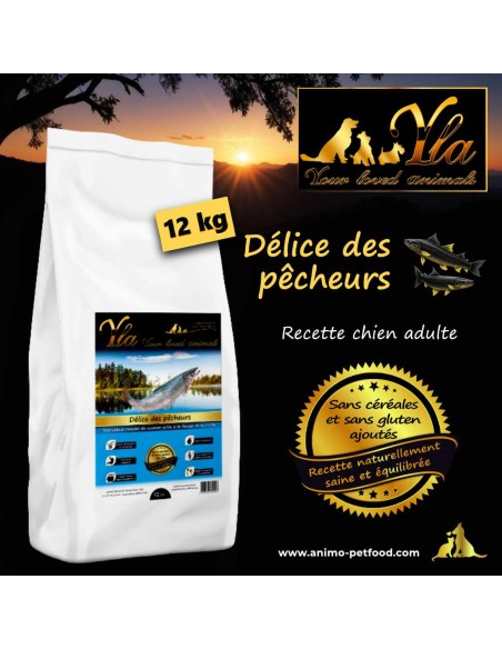 Croquettes naturelles pour chien adulte, sans céréales, au saumon et à la truite, hypoallergéniques et digestes