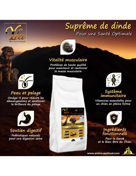 Croquettes sans céréales à la dinde pour chien de grande race, santé des articulations, digestion optimale et énergie durable.