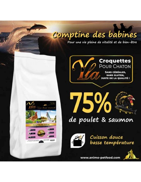 Alimentation complète pour chatons, croquettes sans gluten, à base de poulet et saumon fraîchement préparés