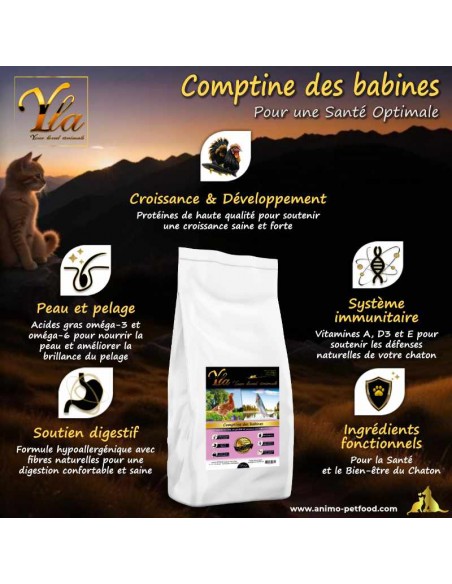 Croquettes hypoallergéniques pour chatons, adaptées aux besoins nutritionnels des jeunes chats