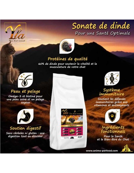 Croquettes enrichies en Oméga-3 et Oméga-6 pour chats adultes, favorisant un pelage brillant et une peau saine