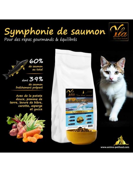 Croquettes saumon pour chat adulte riche en protéines animales