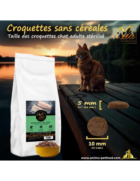 Croquettes ergonomiques pour chats adultes, conçues pour une mastication facile et un confort alimentaire optimal