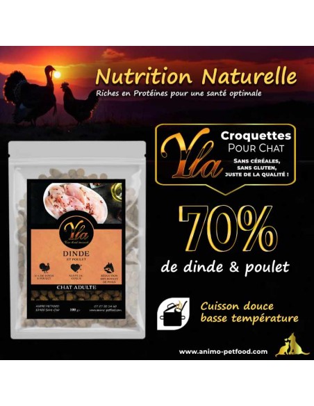 Alimentation hypoallergénique Dinde & Poulet pour chat adulte – Digestion facile et nutrition équilibrée.