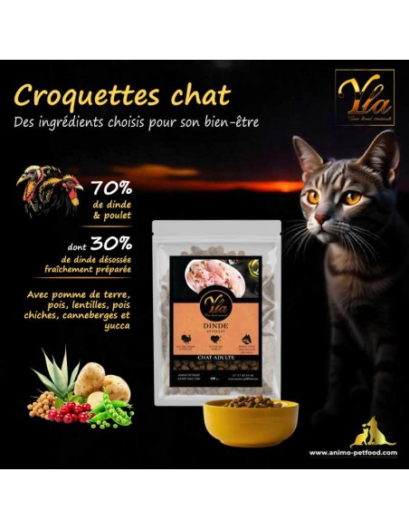Recette naturelle de croquettes Dinde & Poulet pour chat adulte – Sans céréales et riche en nutriments essentiels.