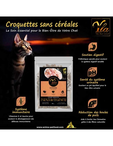 Bienfaits croquettes Dinde & Poulet sans céréales – Digestion facile et énergie.