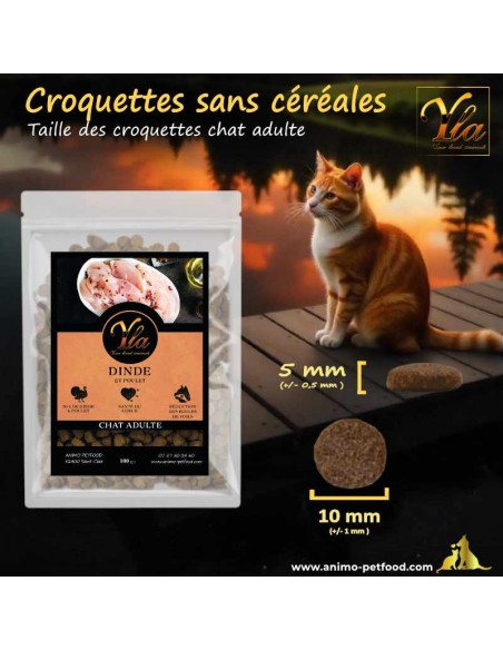 Taille optimale des croquettes Dinde & Poulet pour chat adulte – Mastication et digestion améliorées.