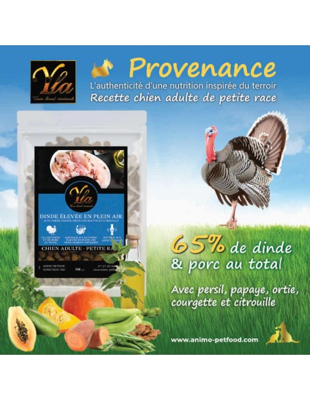 Croquettes naturelles pour chien petite race, dinde et superaliments pour une digestion optimale."