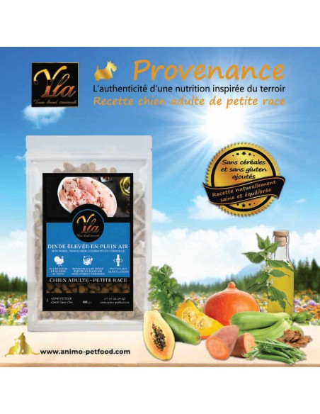 Croquettes chien dinde avec persil, papaye et courgette, riches en nutriments.