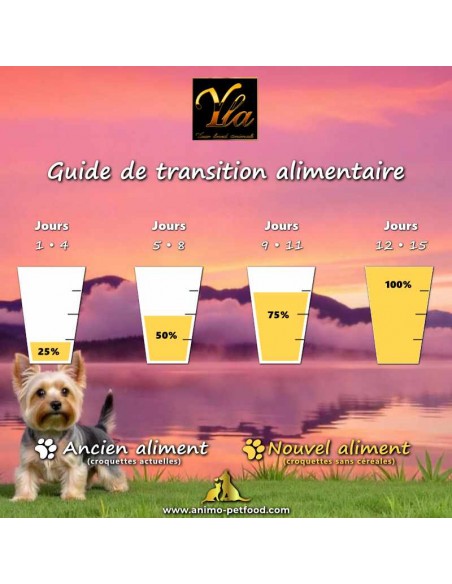 Représentation des étapes de transition alimentaire pour chien de petite race avec croquettes classiques et sans céréales.