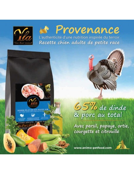 Croquettes terroir dinde et porc sans céréales pour chien adulte de petite race, riches en protéines et en légumes