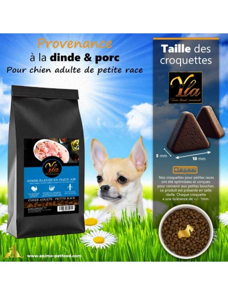 Croquettes sans céréales de petite taille pour chiens adultes, recette à la dinde, faciles à mâcher.