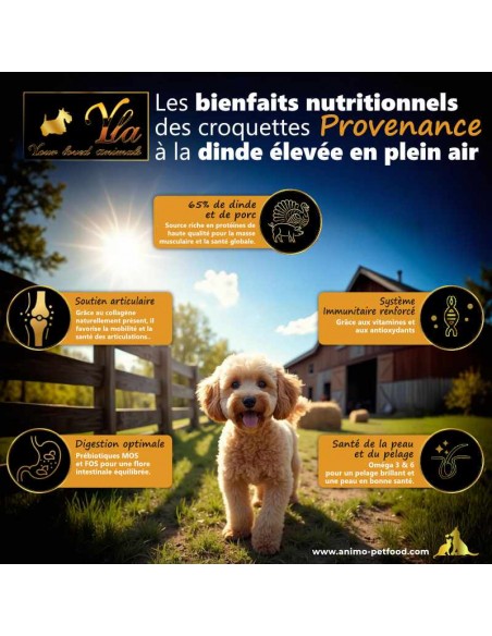 Croquettes sans céréales à la dinde pour chiens de petite race, source de vitalité et soutien digestif