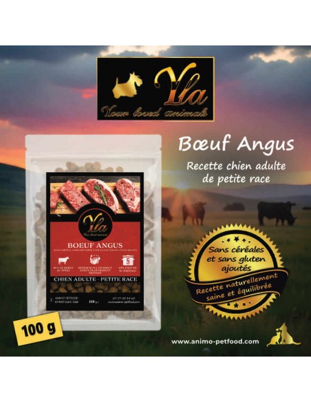 Croquettes naturelles au bœuf Angus pour chiens de petite race, avec légumes et sans céréales.