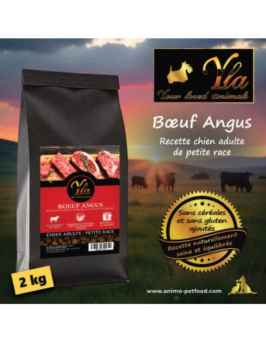 Recette naturelle de croquettes pour chien mini au bœuf Angus et superaliments.