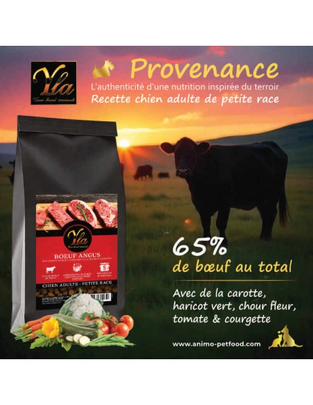 Croquettes au bœuf Angus avec légumes pour chien de petite taille, recette authentique.