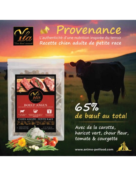 Croquettes au bœuf Angus pour petit chien, avec légumes et 65 % de viande totale.
