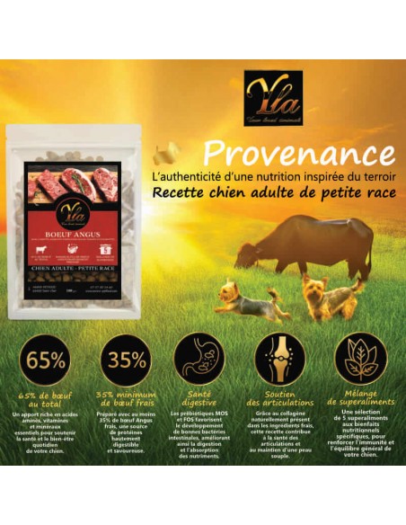 Croquettes au bœuf pour petit chien avec 65 % de viande, superaliments, soutien digestif et articulaire.