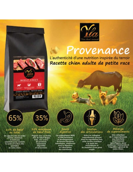 Alimentation complète pour petit chien, au bœuf Angus, 65 % viande et superaliments.