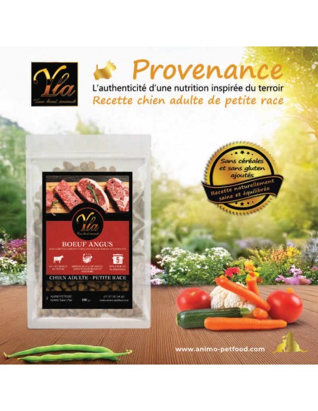 Croquettes sans céréales au bœuf Angus pour petit chien, avec légumes comme carottes, haricots verts et tomates.