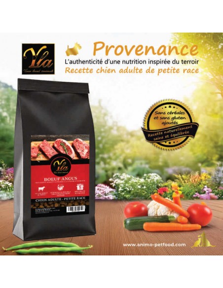 croquettes au bœuf pour chien adulte de petite race, recette naturelle inspirée du terroir avec légumes variés.