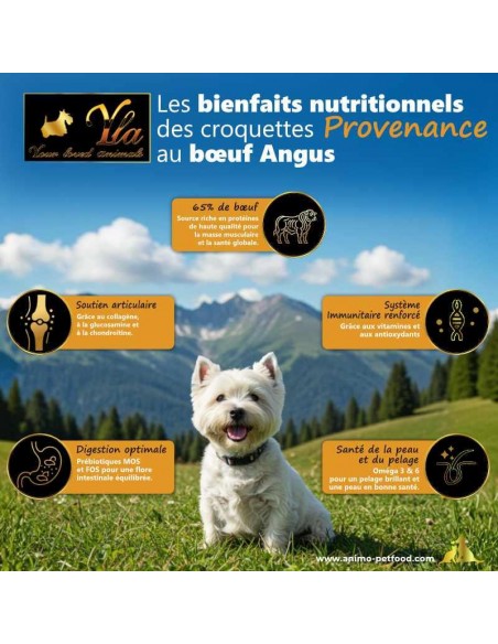 Bienfaits nutritionnels des croquettes au bœuf Angus pour chien, avec 65 % de viande et superaliments.