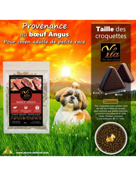 Croquettes au bœuf Angus pour chien adulte de petite race, avec taille adaptée aux petites mâchoires.