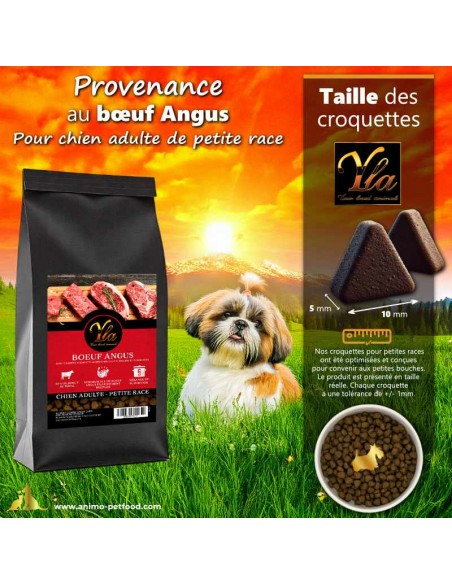 Croquettes au bœuf Angus, taille réduite 5-10 mm, conçues pour chiens miniatures et petites races.