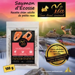 Croquettes sans céréales au saumon d’Écosse pour chien adulte de petite race.