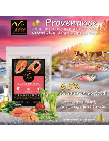 Croquettes au saumon d’Écosse pour chien adulte de petite race, recette naturelle sans céréales.