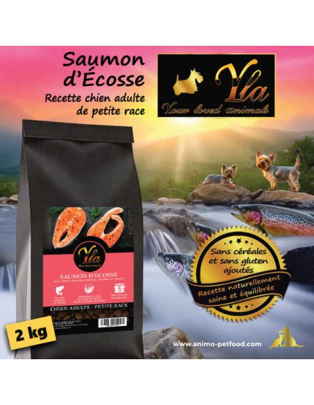 Croquettes naturelles au saumon d’Écosse pour petit chien adulte, sans céréales.
