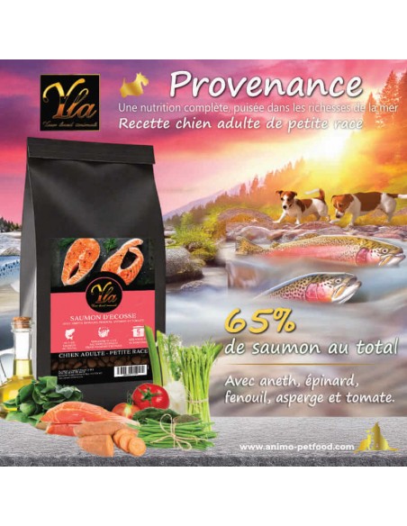 Croquettes au saumon et légumes pour chien de petite race, recette Provenance sans céréales.