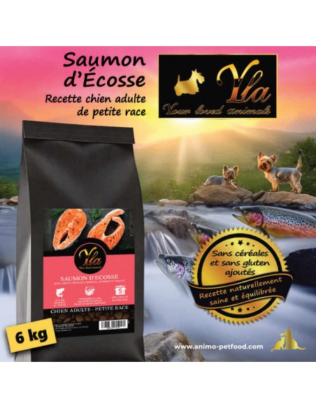 Croquettes YLA Provenance au saumon pour chien adulte de petite taille.
