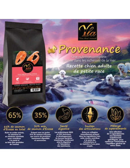 Croquettes YLA Provenance au saumon d’Écosse, nutrition complète pour la santé des petits chiens.