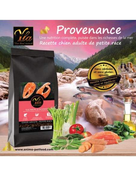 Croquettes sans céréales au saumon d’Écosse pour petit chien, avec légumes digestes et huile de saumon.