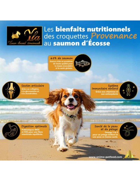 Croquettes au saumon pour chien de petite race, pour soutenir le système immunitaire.