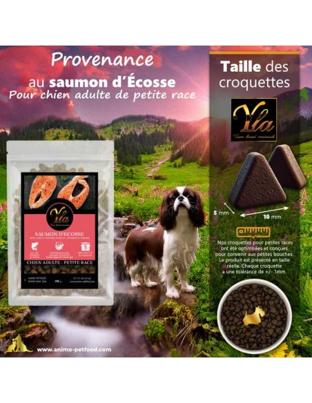 Croquettes triangulaires au saumon d’Écosse pour chien adulte de petite race