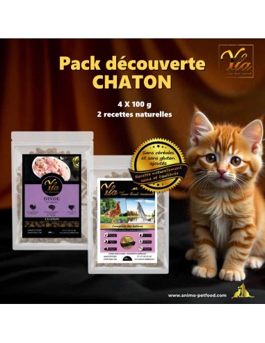 Alimentation naturelle pour chaton avec deux recettes sans gluten