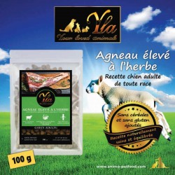 Croquettes hypoallergéniques à l’agneau sans céréales pour chien,  pour une digestion saine et une peau apaisée.