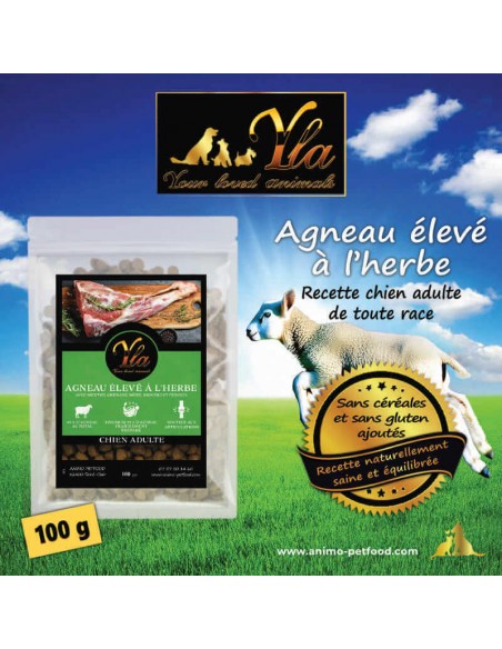 Croquettes hypoallergéniques à l’agneau sans céréales pour chien,  pour une digestion saine et une peau apaisée.