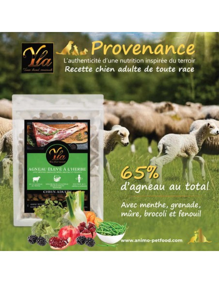 Croquettes à l’agneau sans céréales pour chiens à peau sensible.