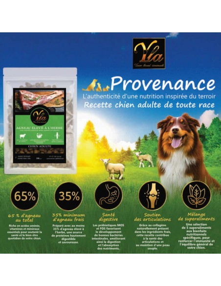 Croquettes hypoallergéniques à l’agneau pour chiens souffrant d’allergies alimentaires, sans céréales ni protéines irritantes